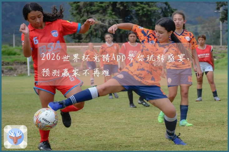 2026世界杯竞猜App带你玩转盛宴，预测赢家不再难