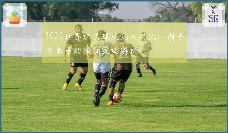 2026世界杯买球规则大对比：新手与老手的投注策略解析