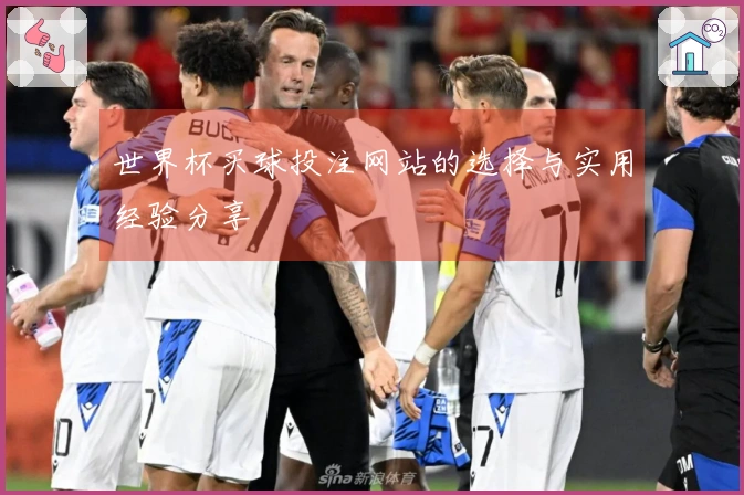世界杯买球投注网站的选择与实用经验分享