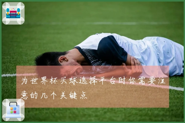 为世界杯买球选择平台时你需要注意的几个关键点