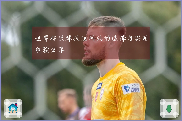 世界杯买球投注网站的选择与实用经验分享