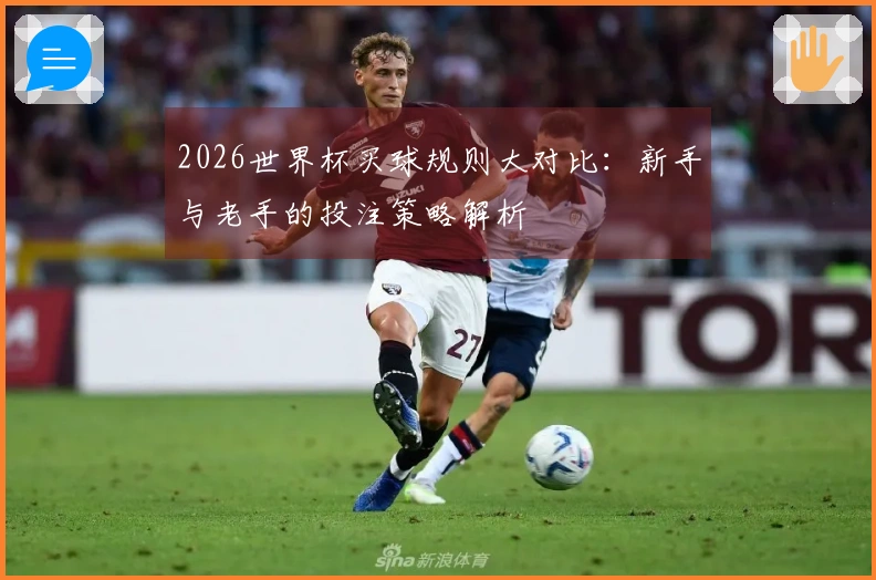 2026世界杯买球规则大对比：新手与老手的投注策略解析